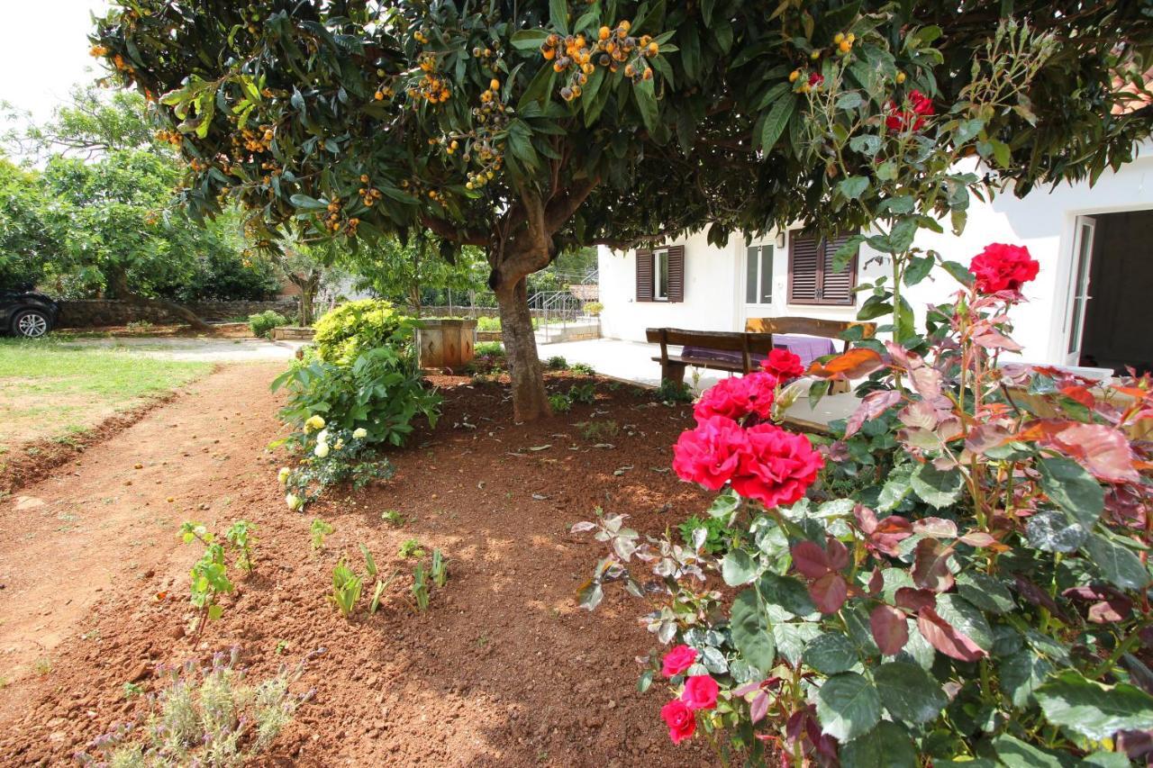 Apartmán Casa Lidija Rovinj Exteriér fotografie